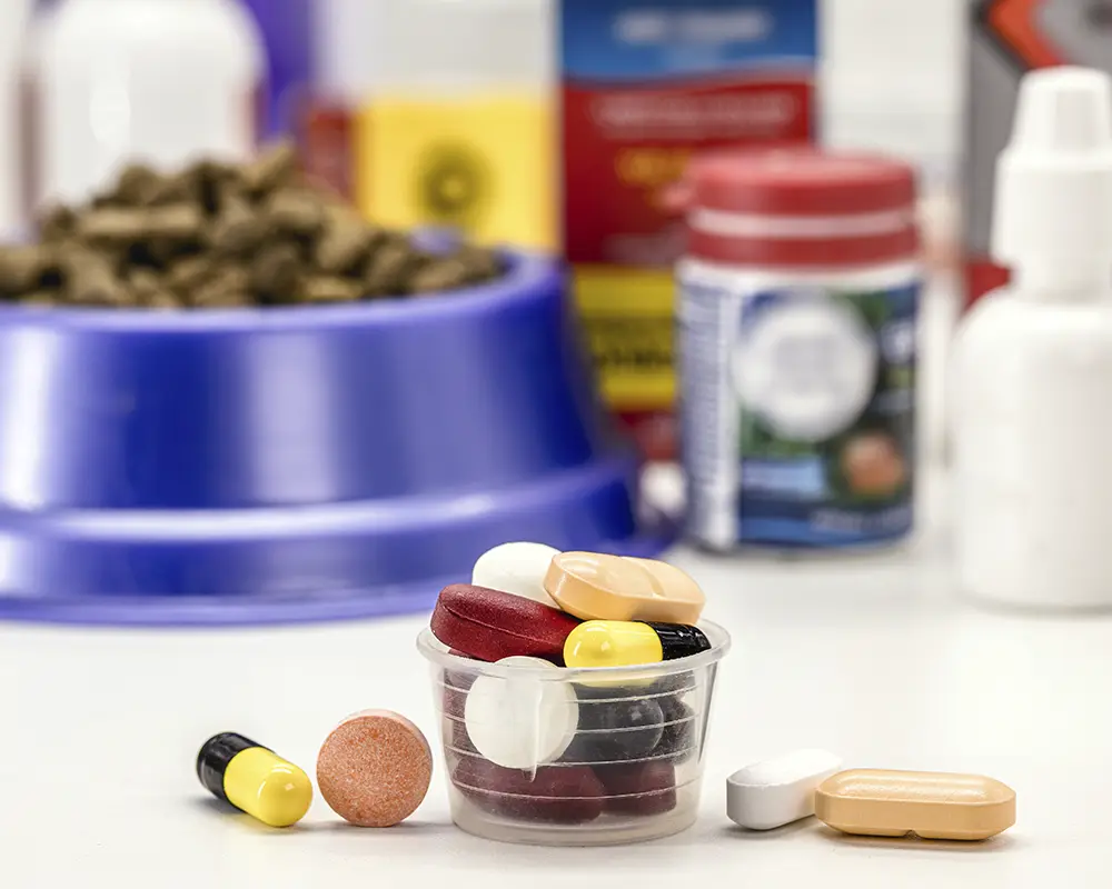 Orientado a proveedores de Productos Veterinarios Orientado a proveedores de Productos Veterinarios